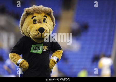 Calcio - Sky scommessa campionato - Lettura v Birmingham City - Madejski Stadium Foto Stock