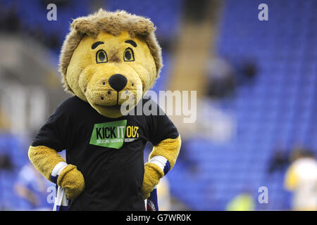 Calcio - Sky scommessa campionato - Lettura v Birmingham City - Madejski Stadium Foto Stock