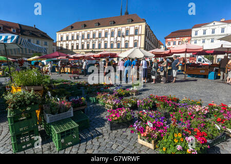 Zelny trh - piazza, piazza del mercato dei cavoli. Mercato agricolo principale nel centro della città di Brno Repubblica Ceca Foto Stock
