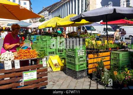 Zelny trh - piazza, Cabbage Market Brno, piazza è un mercato tradizionale con frutta, verdura e fiori. Brno, Moravia meridionale, Repubblica Ceca Foto Stock