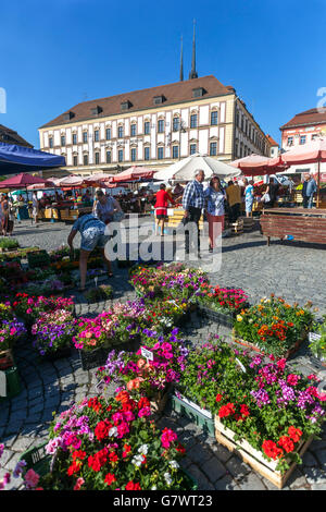 Mercato dei cavoli Brno Zelny trh - la piazza è un mercato tradizionale con frutta, verdura e fiori. Piazza del mercato del cavolo Brno Repubblica Ceca Foto Stock