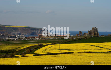 Riserva di Whitby Abbey. Whitby Abbey nel North Yorkshire. Foto Stock