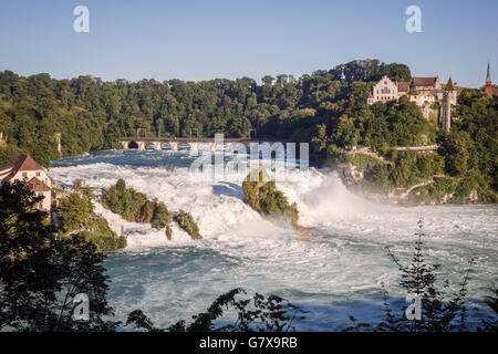 Cascate del Reno e Schloss Laufen Castello visto da di Neuhausen, Cantone di Sciaffusa, Svizzera. Foto Stock