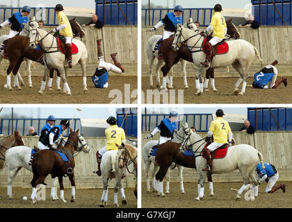 Hayley carità Trophy partita di polo in aiuto delle vittime del Boxing Day terremoto - Longdole Polo Club, Birdlip Foto Stock