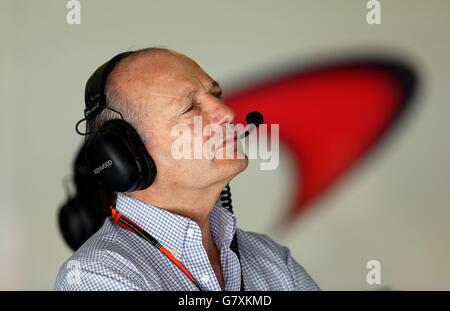 Formula uno - Gran Premio di Spagna - giorno di pratica - circuito di Barcellona-Catalunya. Ron Dennis, CEO della McLaren, durante la giornata di prove al Circuit de Barcelona-Catalunya di Barcellona, Spagna. Foto Stock