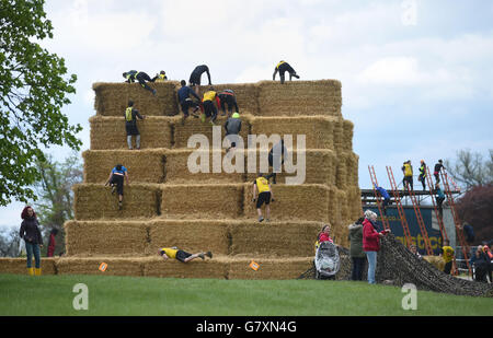 Corsa del ratto sporco Weekend 2015 Foto Stock