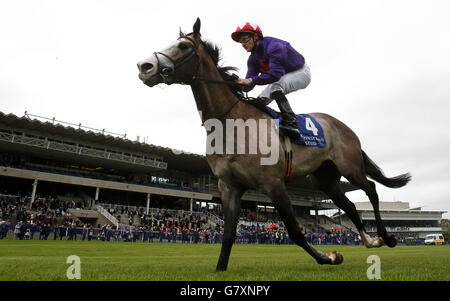 Giorni di successo guidati da Shane Foley sulla strada per vincere i Derrinstown Stud Derby Trial Stakes durante il Derrinstown Stud Derby Trial Day all'ippodromo di Leopardstown, Dublino, Irlanda. Foto Stock