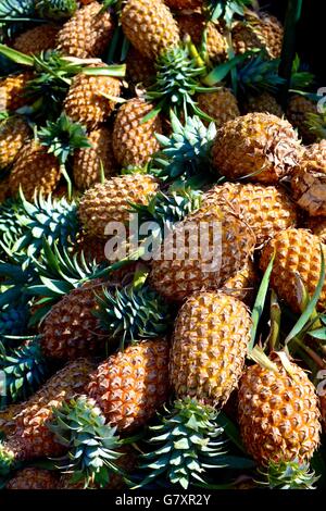 Un mucchio di ananassi destinati alla vendita in un mercato in stallo Galle Sri Lanka Foto Stock