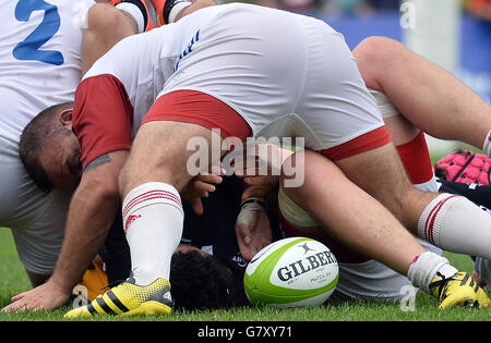 Rugby Visualizza Repubblica Ceca vs. Nuova Zelanda ambasciatori a Praga Repubblica Ceca, sabato 25 giugno, 2016. (CTK foto/Katerina Sulova) Foto Stock