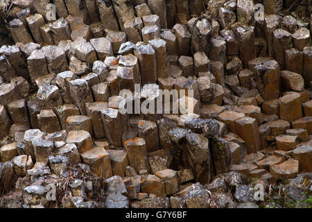 Tengchong, Tengchong, CHN. Xiii Febbraio, 2016. Tengchong, Cina - 13 Febbraio 2016: (solo uso editoriale. Cina OUT) giunzione colonnari. Si tratta di una struttura geologica in cui insiemi di intersecando strettamente distanziati fratture, denominato giunti, danno come risultato la formazione di una matrice regolare di prismi poligonali o colonne. Giunzione colonnare avviene in molti tipi di rocce vulcaniche e le forme come la roccia si raffredda e contratti. Giunzione colonnare può verificarsi nel raffreddamento di flussi di lava e tufi ashflow (ignimbrite), così come in alcune intrusioni poco profonde. © SIPA Asia/ZUMA filo/Alamy Live News Foto Stock