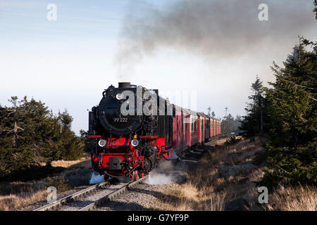 Stazione ferroviaria Brockenbahn, Harz a scartamento ferroviario, HSB, locomotiva a vapore, Brocken Mountain, Parco Nazionale di Harz, Sassonia-Anhalt Foto Stock