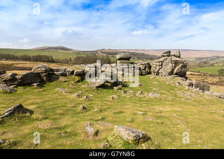 Il granito di Hound Tor è stato alterato da milioni di anni di vento, pioggia e gelo su Dartmoor Devon, Inghilterra, Regno Unito Foto Stock