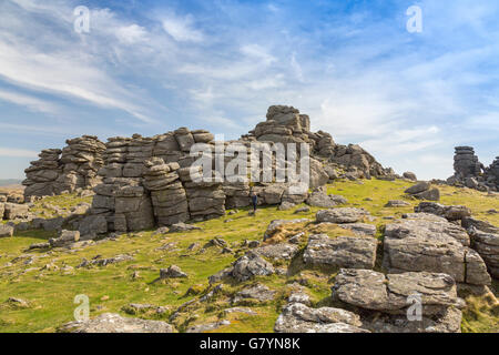 Il granito di Hound Tor è stato alterato da milioni di anni di vento, pioggia e gelo su Dartmoor Devon, Inghilterra, Regno Unito Foto Stock