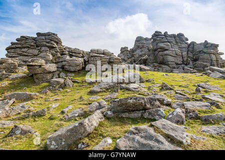 Il granito di Hound Tor è stato alterato da milioni di anni di vento, pioggia e gelo su Dartmoor Devon, Inghilterra, Regno Unito Foto Stock