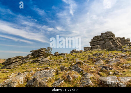 Il granito di Hound Tor è stato alterato da milioni di anni di vento, pioggia e gelo su Dartmoor Devon, Inghilterra, Regno Unito Foto Stock