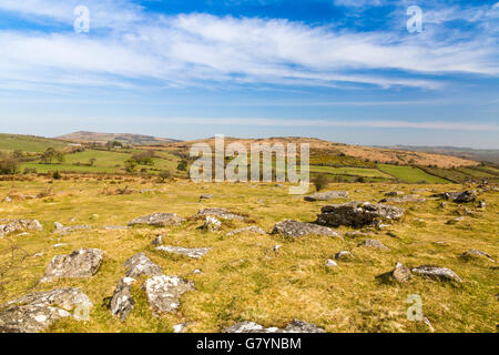 Guardando a Nord attraverso una maggiore Hound Tor Dartmoor dal hound Tor, Devon, Inghilterra, Regno Unito Foto Stock