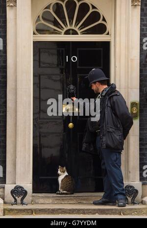 Larry, il gatto di Downing Street, attende a due passi mentre un poliziotto bussa alla porta di 10 Downing Street, a Westminster, Londra, dopo la vittoria elettorale del primo ministro David Cameron. Foto Stock