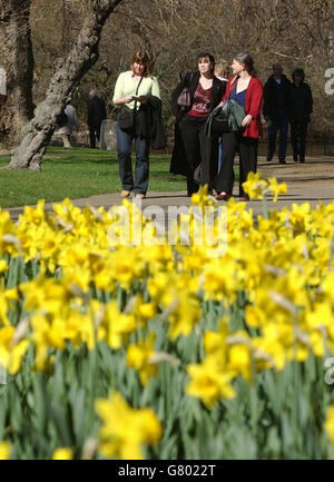 Sole di primavera Foto Stock