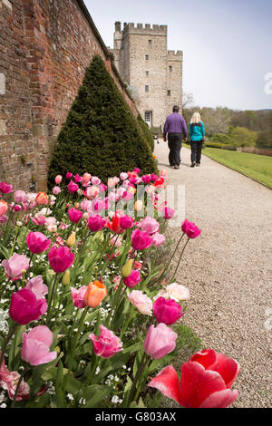 Regno Unito, Cumbria, Kendal Sizergh, casa ancestrale alla famiglia Strickland, visitatori in giardino, tulip frontiere in primavera Foto Stock