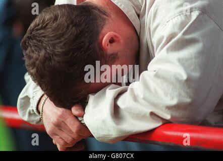 Calcio - Carling Premier League - Wimbledon v Sunderland Foto Stock