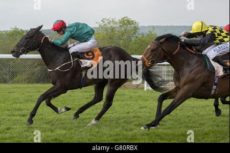 Enlace indovinato da Nicky Mackay porta King ad essere guidato da Cam Hardie per vincere la 888sport Stakes Race corsa durante il giorno tre del Festival di maggio 2015 a Goodwood Racecourse, Chichester. Foto Stock