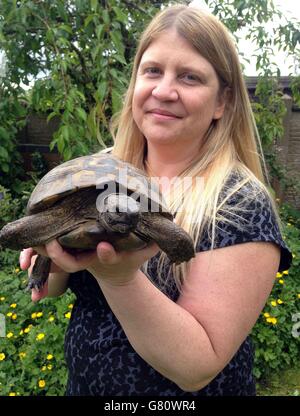 Debbie Acton, 42 anni, di Barnacle nel Warwickshire, con la sua tartaruga Bobby, una tartaruga di Hermann di 37 anni, che è andata perdendo due volte nell'ultima settimana, il suo proprietario crede alla ricerca di una donna. Foto Stock