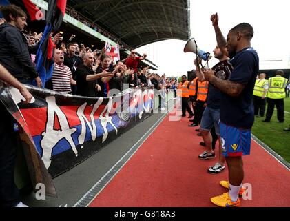 Calcio - Barclays Premier League - Crystal Palace v Swansea City - Selhurst Park Foto Stock