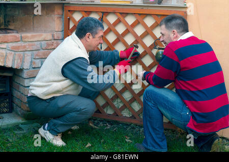 Giovane uomo aiutando senior l uomo è il giardinaggio, attività di uso domestico Foto Stock