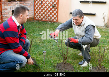 Giovane uomo aiutando senior l uomo è il giardinaggio, attività di uso domestico Foto Stock