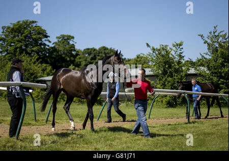 Jack Hobbs, che ha finito secondo nella Epsom Derby, durante una fotocellula a Clarehaven Stables, Newmarket. Foto Stock