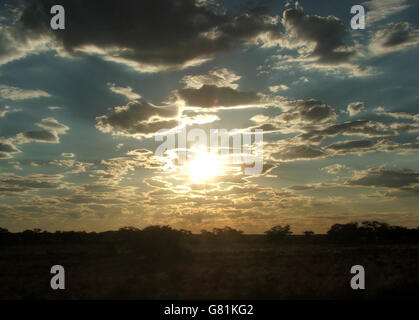 Tramonto, Kgalagadi Parco transfrontaliero, Africa Foto Stock