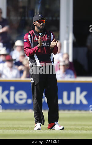 Cricket - T20 Blast - Divisione meridionale - Somerset v Hampshire Royals - County Ground Foto Stock