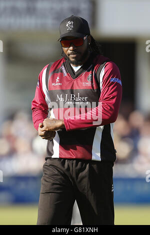Cricket - T20 Blast - Divisione meridionale - Somerset v Hampshire Royals - County Ground Foto Stock