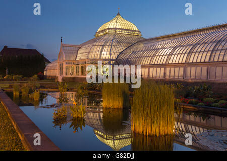 Il giardino acquatico PHIPPS CONSERVATORIO VITTORIANO (©Signore & BURNHAM 1893) GIARDINO BOTANICO OAKLAND PITTSBURGH PENNSYLVANIA USA Foto Stock