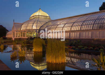 Il giardino acquatico PHIPPS CONSERVATORIO VITTORIANO (©Signore & BURNHAM 1893) GIARDINO BOTANICO OAKLAND PITTSBURGH PENNSYLVANIA USA Foto Stock