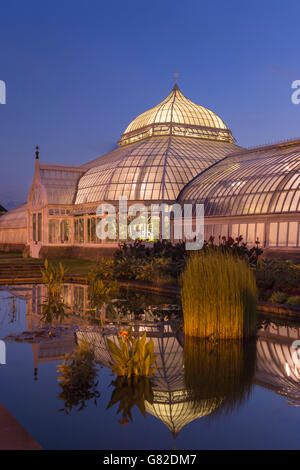 Il giardino acquatico PHIPPS CONSERVATORIO VITTORIANO (©Signore & BURNHAM 1893) GIARDINO BOTANICO OAKLAND PITTSBURGH PENNSYLVANIA USA Foto Stock