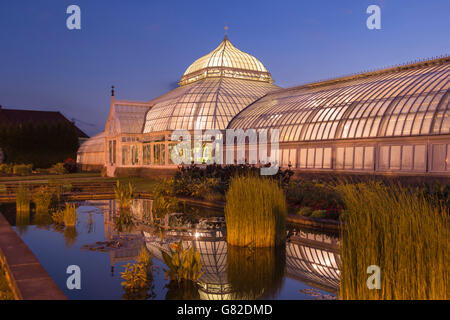 Il giardino acquatico PHIPPS CONSERVATORIO VITTORIANO (©Signore & BURNHAM 1893) GIARDINO BOTANICO OAKLAND PITTSBURGH PENNSYLVANIA USA Foto Stock