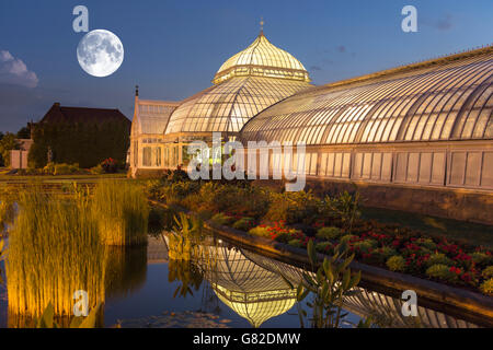 Il giardino acquatico PHIPPS CONSERVATORIO VITTORIANO (©Signore & BURNHAM 1893) GIARDINO BOTANICO OAKLAND PITTSBURGH PENNSYLVANIA USA Foto Stock