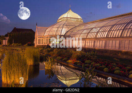 Il giardino acquatico PHIPPS CONSERVATORIO VITTORIANO (©Signore & BURNHAM 1893) GIARDINO BOTANICO OAKLAND PITTSBURGH PENNSYLVANIA USA Foto Stock