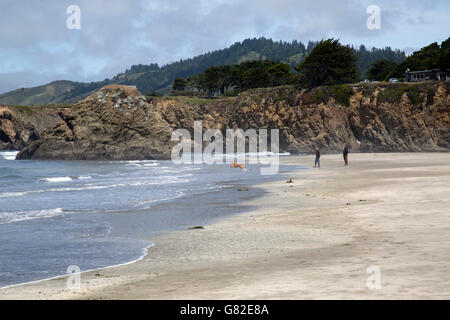 Giovane gettando stick per cani sulla spiaggia della California. Foto Stock