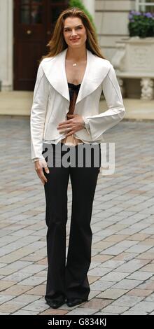 Brooke Shields Chicago Photocall - Renaissance Chancery Court Hotel. Schermature Brooke attrice. Foto Stock