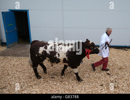 Royal Highland Show Foto Stock