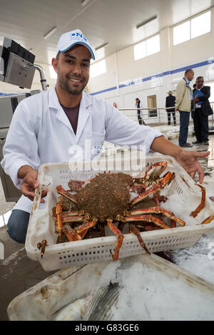 I lavoratori di acquistare e vendere pesce fresco e pesce ad asta in Tifnit, vicino a Agadir in Marocco. Foto Stock