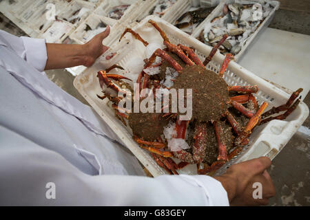 I lavoratori di acquistare e vendere pesce fresco e pesce ad asta in Tifnit, vicino a Agadir in Marocco. Foto Stock