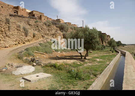 Il canale di irrigazione in Chichaoua Prov. ha portato a un aumento della produttività per gli agricoltori in questa area a secco del Marocco. Foto Stock