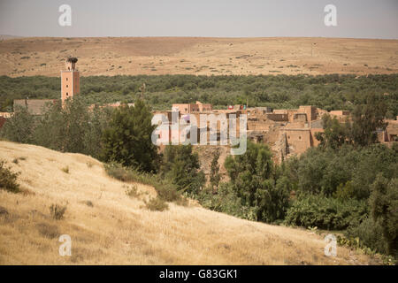 Case in pietra che si affaccia su di un uliveto a sedersi su una scarpata nel villaggio di Douirane, Marocco. Foto Stock