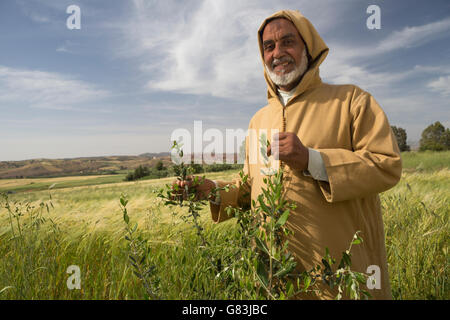 Piccolo agricoltore Mohamed El Ouafi sorge nel suo grano e olivo alberello al di fuori campo Ben Khili, Marocco. Foto Stock