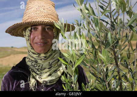 Un piccolo agricoltore si erge nel suo albero di olivo campo nel villaggio di Kouassem Oulad Addou, Marocco. Foto Stock