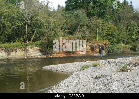 Pescatore di salmone su un piccolo viale alberato fiume nelle zone rurali del Galles Foto Stock
