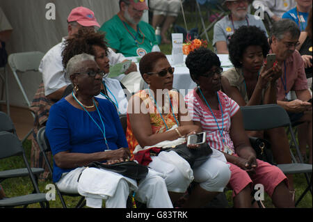 Pubblico godendo la musica al 2015 American Folk Festival, Bangor, Maine Foto Stock